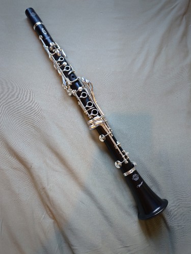 Selmer muse clarinet - muse, a